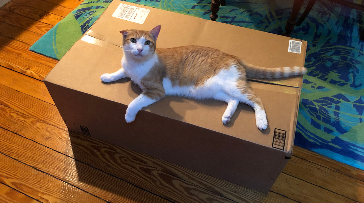 boxlove